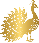 Name Icon